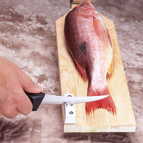 AccuSharp Sturdy Mount Sharpener